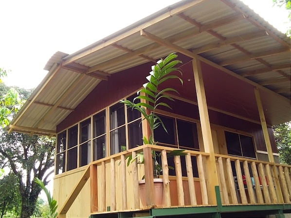 A wooden building with a balcony, large windows, and a potted plant.
