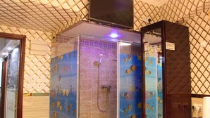 غرفة - غرفة نوم واحدة - منظر للحديقة | الدش داخل الحمام