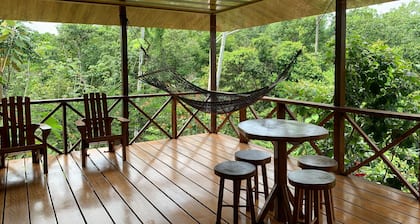 Room-villa With Primary Forest View