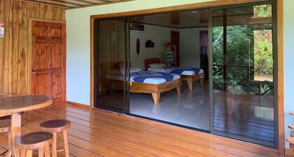 Room-villa With Primary Forest View