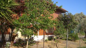 A two-story brick house with a red-tiled roof, surrounded by various plants and trees. - Sa Domu Sarda - Apartment With Terrace 2 (Piscinas)
