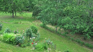 A lush garden with various plants and flowers, a grassy area, and trees. - Room-paradise is Real at Vale Martinho Z (Santa Comba Dao)