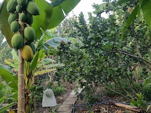 Jardines del alojamiento