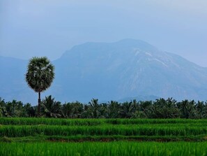 Room, 1 Bedroom, Balcony | Exterior - Room in Lodge - Royal Cottage, Anaimalai Room (Anaimalai)