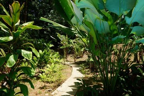 Property grounds - Hotel El Tesoro de Sir, Drake Bay (Drake Bay)