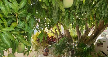 Leons Luxury Montego Bay Home