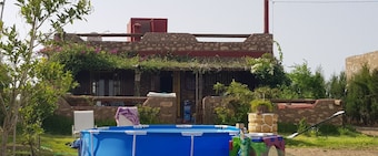 Maison la Branche d Oiseaux
