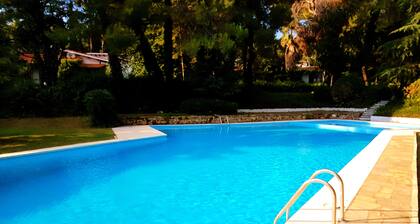 Sani Pool Beach Villa