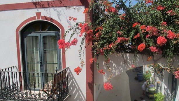 A building with a balcony, a window, and a wall covered with red flowers. - Harbour 332 in Puerto De Mogan (Mogan)