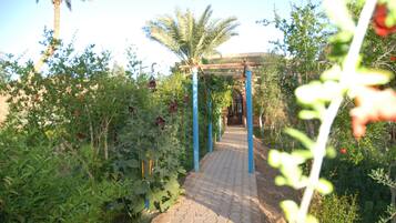 Room, 1 Bedroom, Accessible, Smoking | Garden