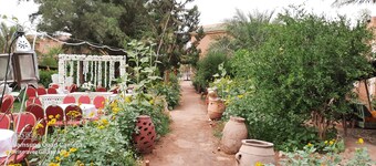 Room in Guest Room - Paradise in the Southern Desert Morocco