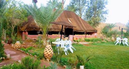 Room-paradise in the Southern Desert Mor