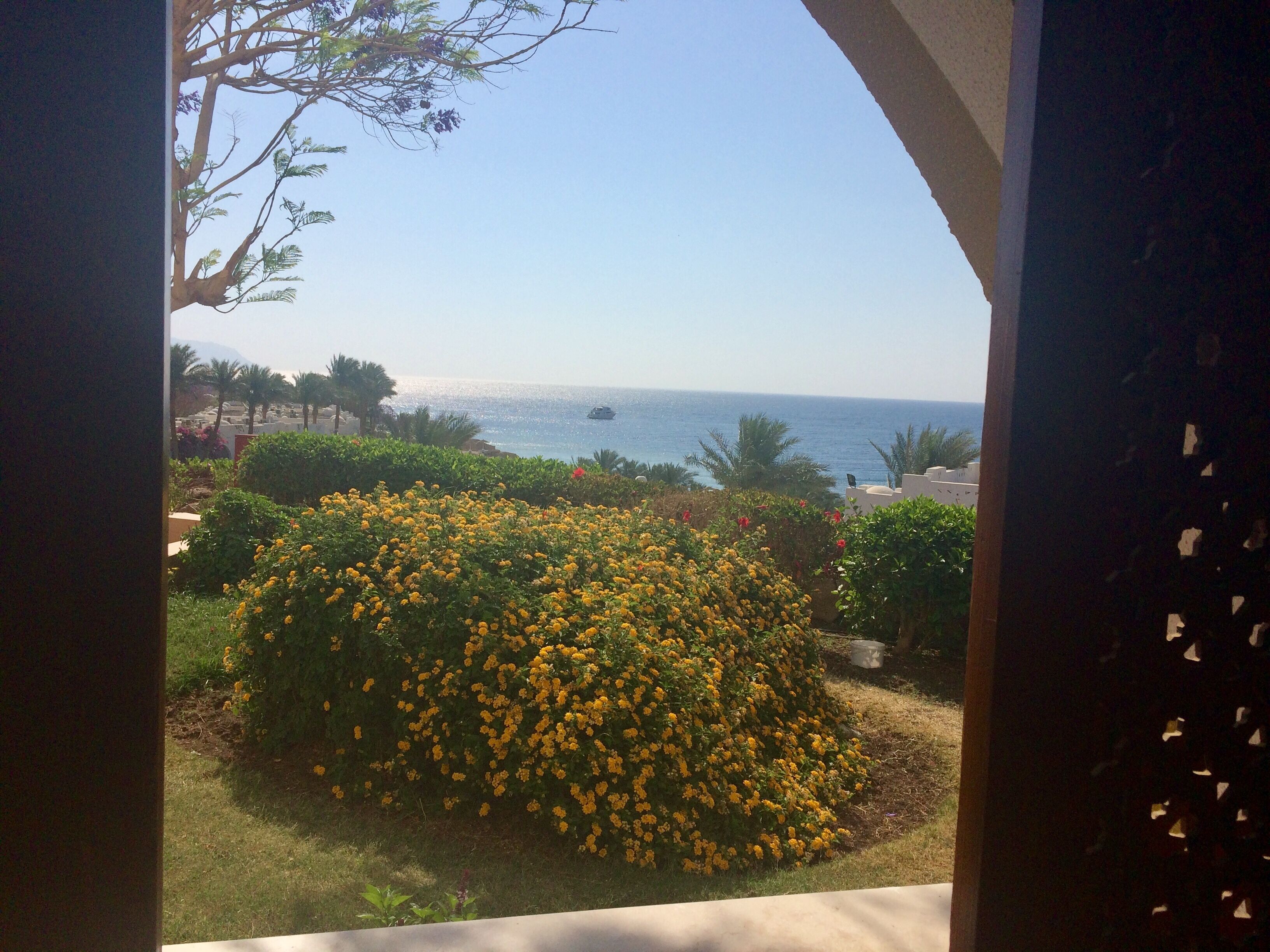 الإطلالة من المنشأة