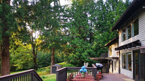 A wooden deck with a table and chairs, surrounded by lush greenery and trees.