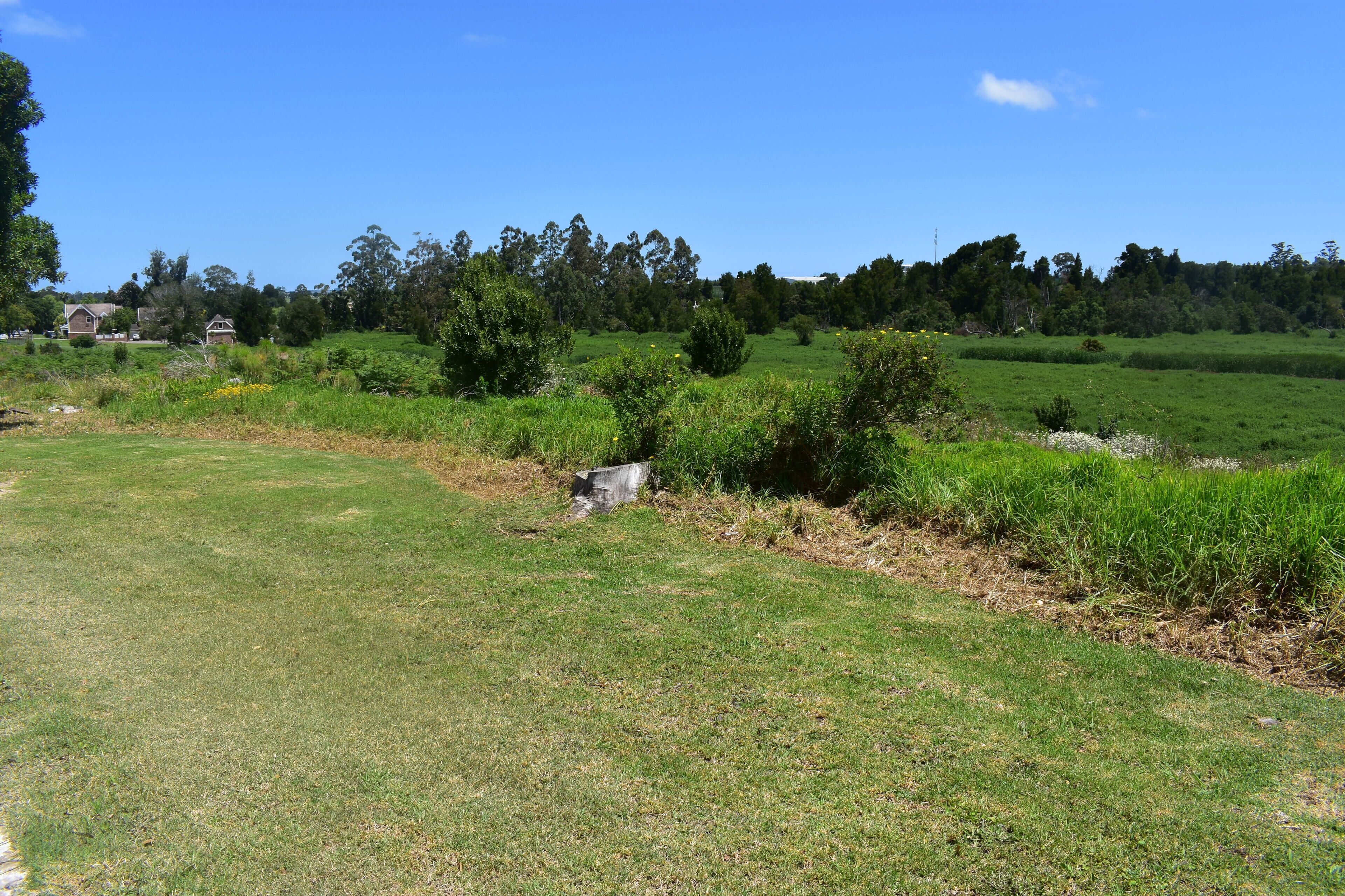 A grassy field with scattered trees and a clear blue sky.