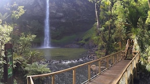 Property grounds - Puravida Experience At Laela Jadess (Billings)