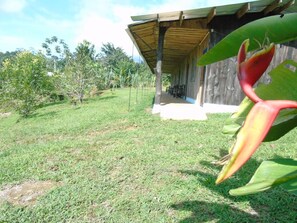 Property grounds - Hotel El Tesoro de Sir, Drake Bay (Drake Bay)