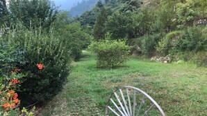 A rural landscape with a grassy field, dense shrubbery, and a metal chair. - Luxury Private Villa with Mountain View (Banjar)