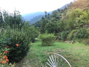 Terrain de l’hébergement 