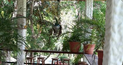 Manuel Antonio Comfort Casa Macaow