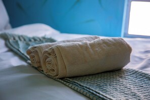 Room, 1 Bedroom, Terrace, Mountain View | Miscellaneous