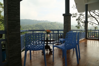 Room-1 Bedroom With Balcony Mountain Vie
