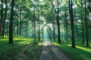 Room, 1 Bedroom, Balcony | Property grounds - Room in Lodge - Royal Cottage, Anaimalai Room 4 (Anaimalai)