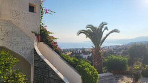 Vista costera con una escalera de piedra, una palmera y un edificio con flores rosadas.