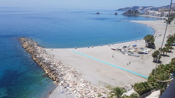 Una playa costera con un rompeolas rocoso, aguas azules cristalinas y una hilera de palmeras.