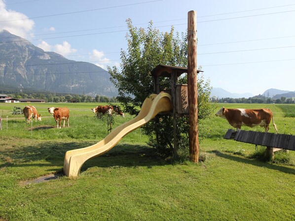 Ein Spielplatz mit Rutsche und Schaukeln, umgeben von einer Wiese, auf der Kühe grasen.
