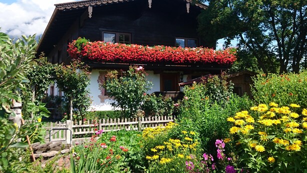 Un chalet traditionnel doté d’un balcon orné de fleurs rouges, entouré d’une variété de fleurs colorées.