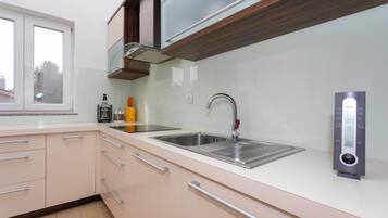 Fridge, oven, stovetop, dishwasher