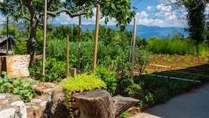 Un giardino con una panchina in pietra, pali di legno e diverse piante.