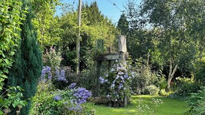 A garden with a gravel path, various plants, and a wooden structure.