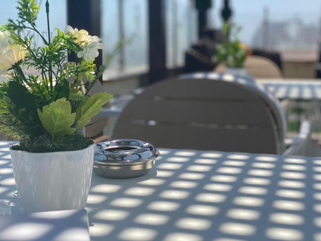 A table with a potted plant and a metal tray, likely for condiments, in a sunny outdoor setting with a view of buildings in the background.