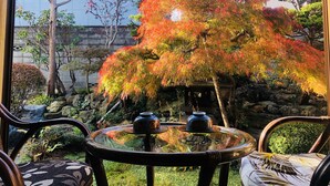A traditional Japanese garden with a glass table and chairs, surrounded by various trees and a stone wall.