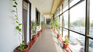 A corridor lined with potted plants and large windows offering a view of the street. - Hotel Opera Inn near Central Bus Stand (Udaipur)