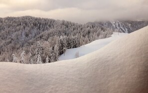 A snowy landscape with a forested hill and a snow-covered slope. - Hotel Bivera Sauris (Sauris)
