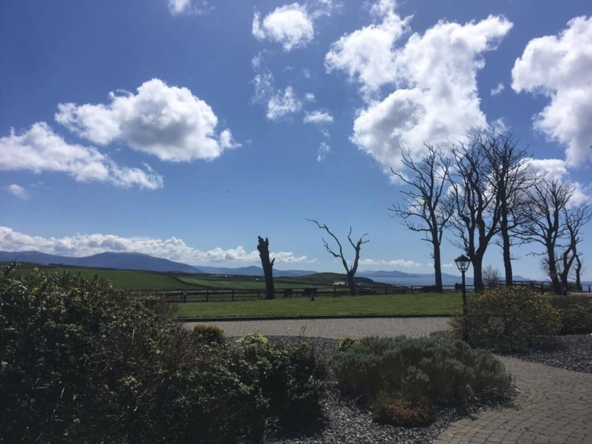 A park with a paved path, leafless trees, and a distant view of hills under a clear blue sky.
