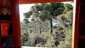 Una ventana con vista a un área boscosa y una casa al fondo.