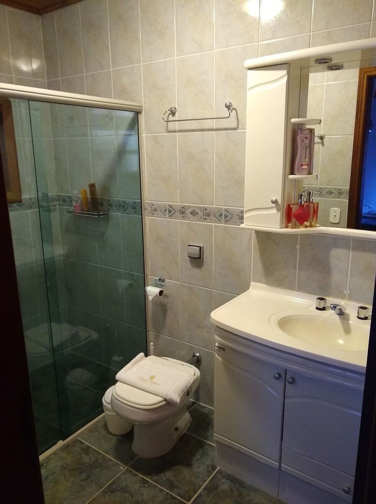 A bathroom with a glass shower enclosure, a toilet, a sink with a mirror, and a towel rack.