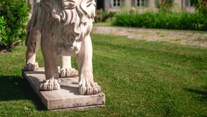 A stone lion statue in a garden with a building in the background.