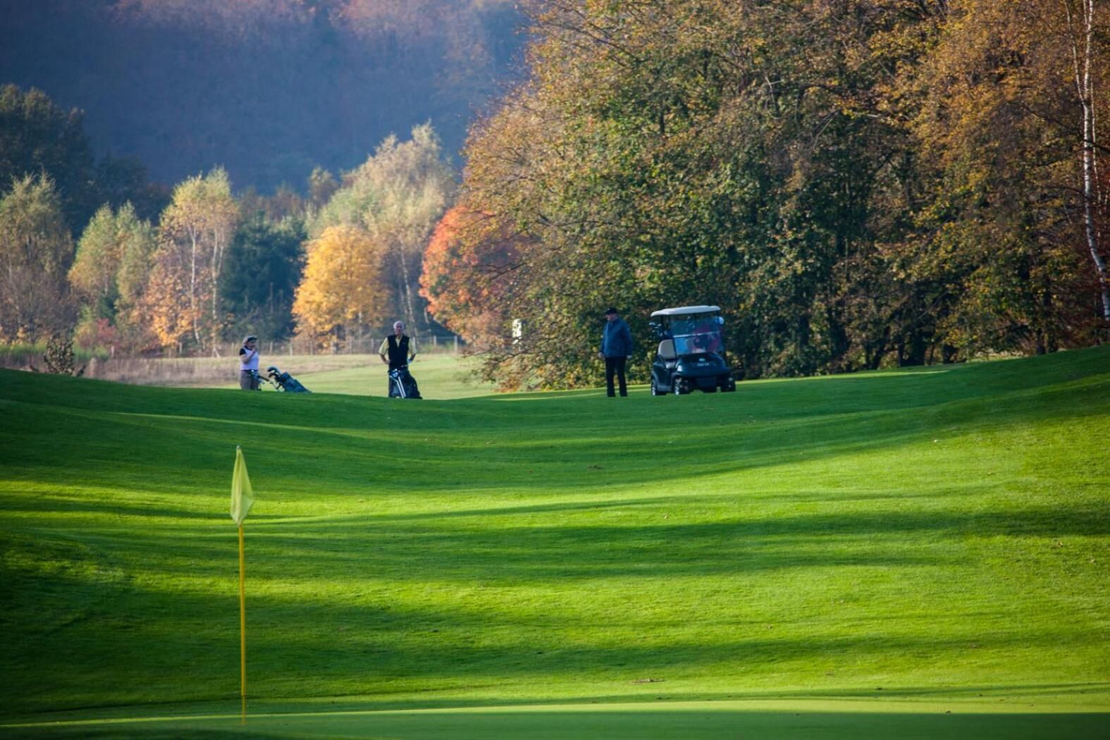 A golf course with a putting green, trees in the background, and a golf cart.