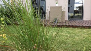 A modern building with large windows, a wooden deck, and a grassy area with tall grass and a small plant.