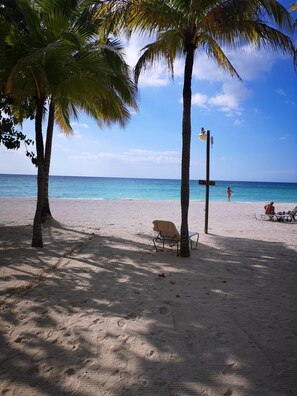 A beach with palm trees, a beach chair, and a lamp post.