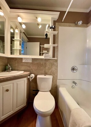 Combined shower/bathtub, hair dryer, towels, soap