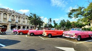 Een rij oldtimers in roze kleur, geparkeerd voor een historisch gebouw met versierde architectuur.