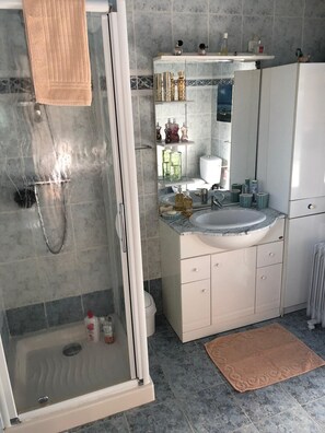 Hair dryer, towels, soap, shampoo - Chez Lucia near Perigueux (Église-Neuve-de-Vergt)