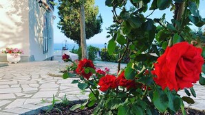 A garden with red roses and a white building with a tiled floor. - Gli Archi sul Mare (Gaeta)