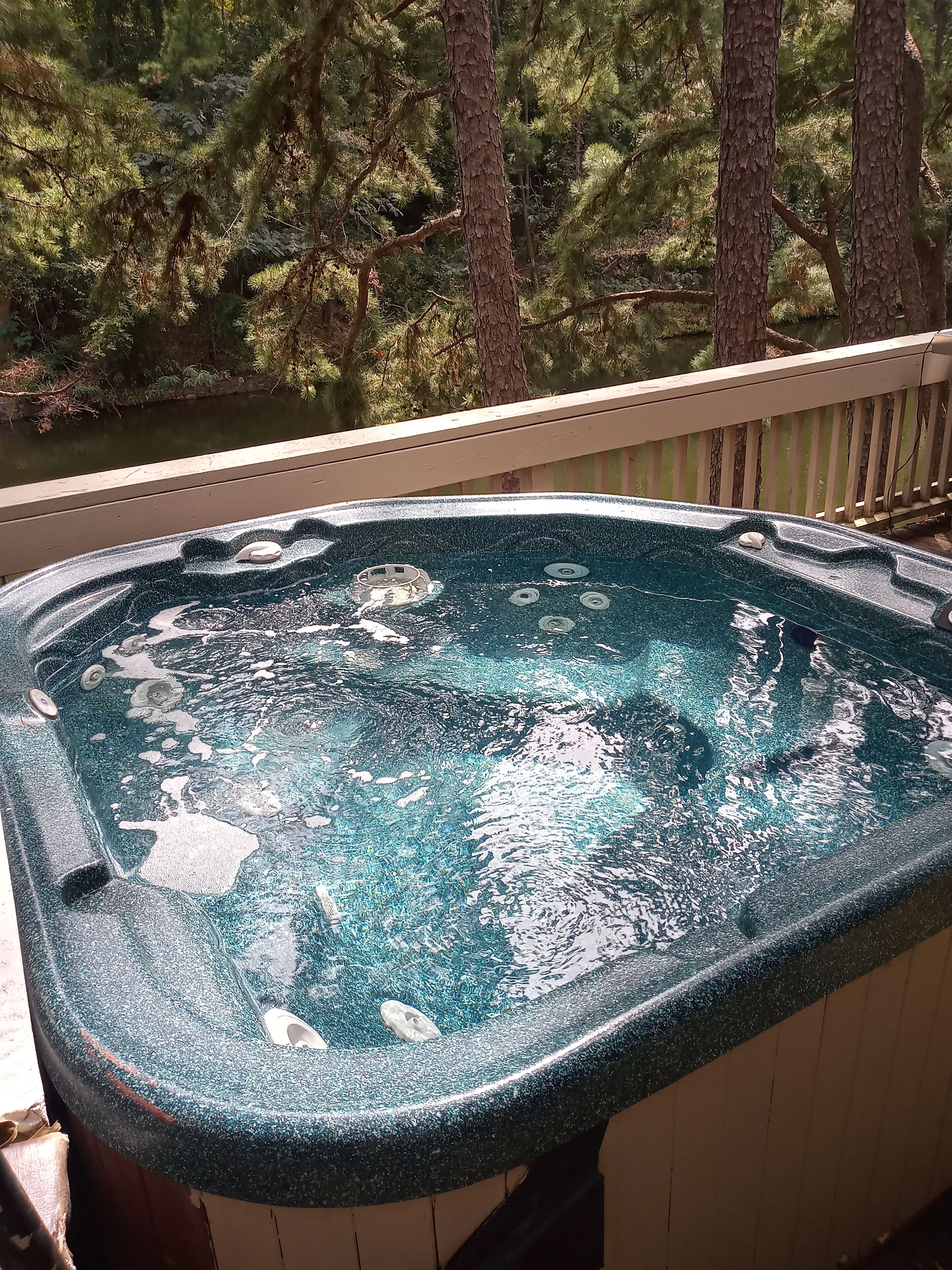Baignoire à remous extérieure